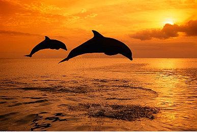 剧情回合制卡牌游戏《废墟图书馆》今日正式发售 同步加入XGP